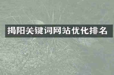 揭阳关键词网站优化排名