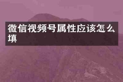 微信视频号属性应该怎么填