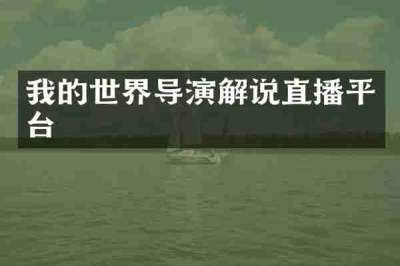 我的世界导演解说直播平台
