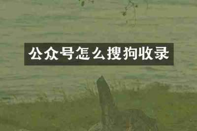 公众号怎么搜狗收录