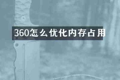 360怎么优化内存占用