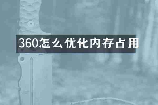 360怎么优化内存占用