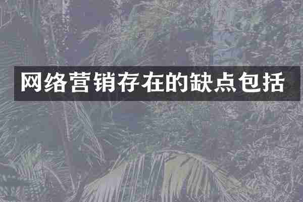 网络营销存在的缺点包括