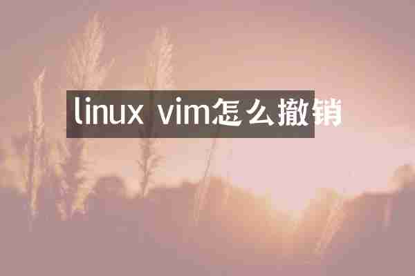 linux vim怎么撤销
