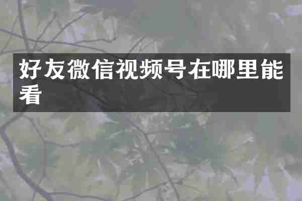 好友微信视频号在哪里能看