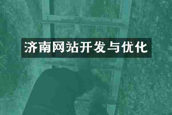 济南网站开发与优化