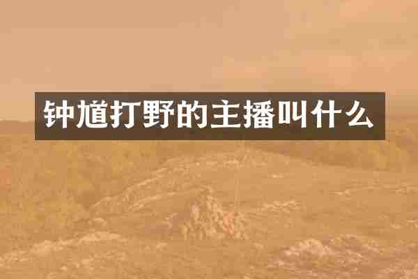 钟馗打野的主播叫什么