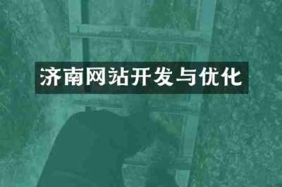 济南网站开发与优化