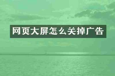 网页大屏怎么关掉广告