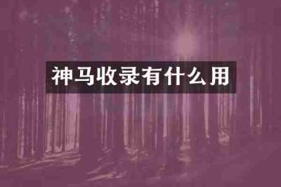 神马收录有什么用