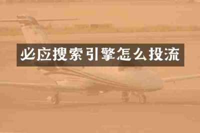 必应搜索引擎怎么投流