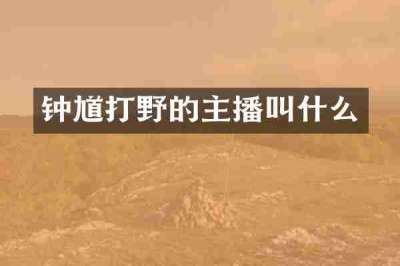 钟馗打野的主播叫什么