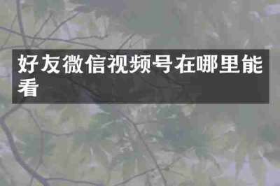好友微信视频号在哪里能看