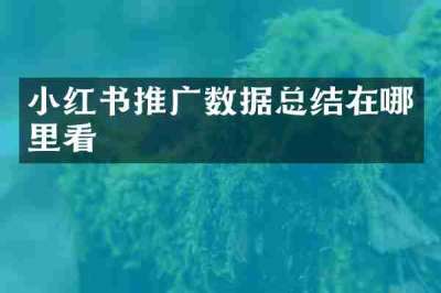 小红书推广数据总结在哪里看