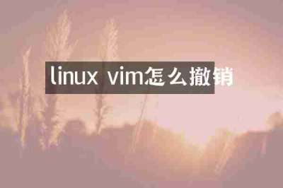 linux vim怎么撤销