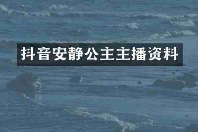 抖音安静公主主播资料