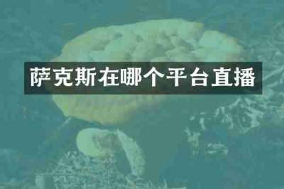 萨克斯在哪个平台直播