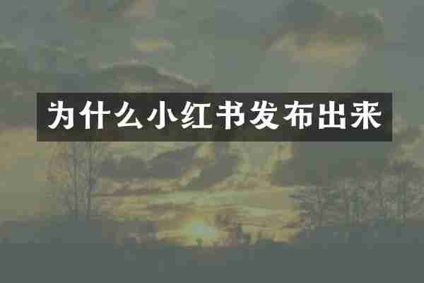 为什么小红书发布出来