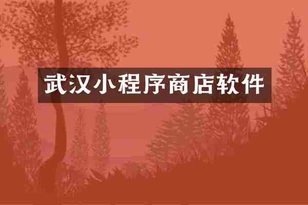 武汉小程序商店软件