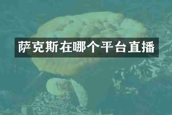 萨克斯在哪个平台直播