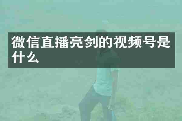 微信直播亮剑的视频号是什么