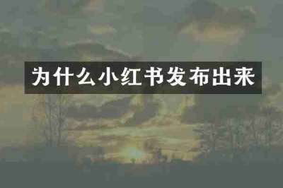 为什么小红书发布出来