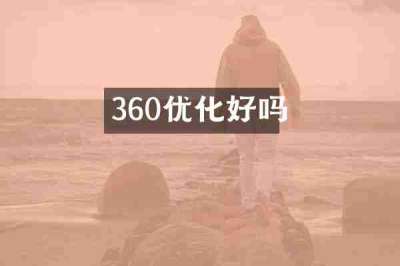 360优化好吗