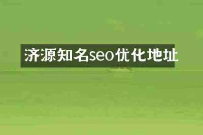 济源知名seo优化地址