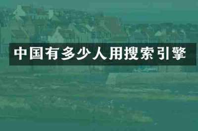 中国有多少人用搜索引擎