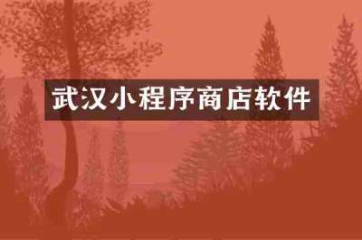 武汉小程序商店软件