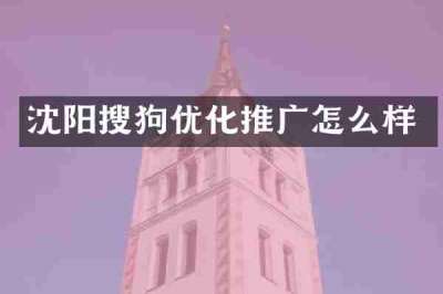 沈阳搜狗优化推广怎么样