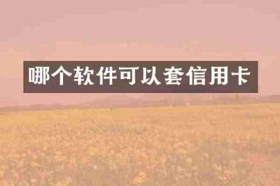 哪个软件可以套信用卡