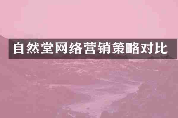 自然堂网络营销策略对比