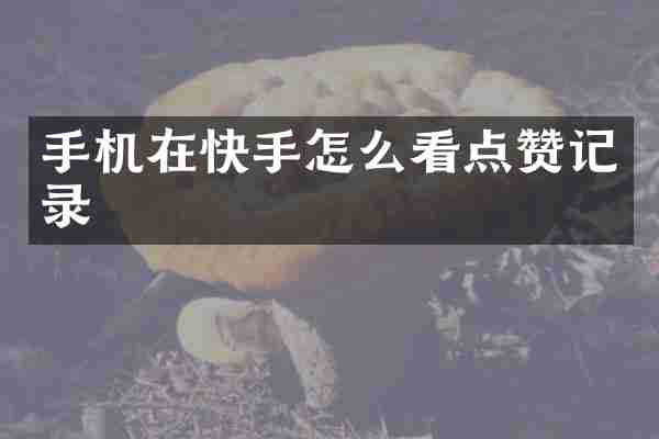 手机在快手怎么看点赞记录