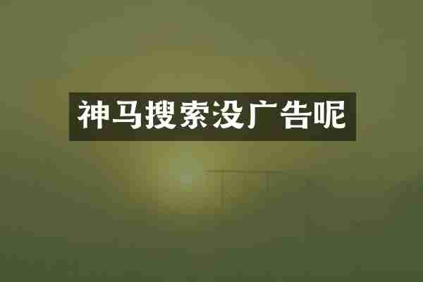神马搜索没广告呢