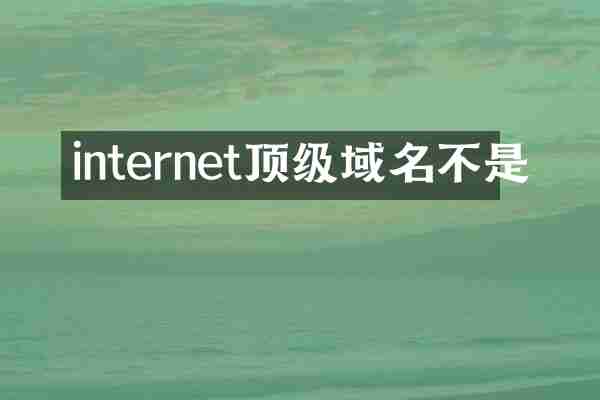internet顶级域名不是