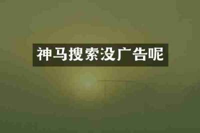 神马搜索没广告呢