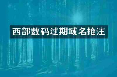 西部数码过期域名抢注