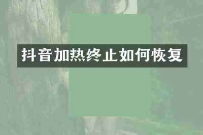 抖音加热终止如何恢复