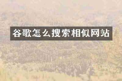 谷歌怎么搜索相似网站