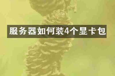 服务器如何装4个显卡包