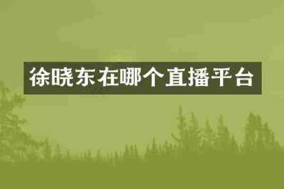 徐晓东在哪个直播平台