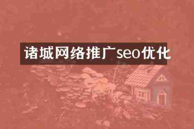 诸城网络推广seo优化