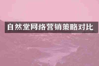 自然堂网络营销策略对比