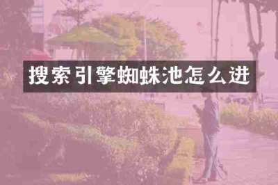 搜索引擎蜘蛛池怎么进