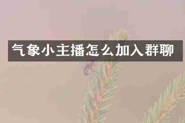 气象小主播怎么加入群聊