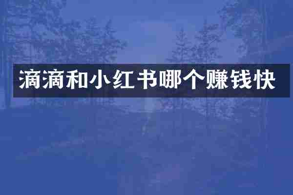 滴滴和小红书哪个赚钱快