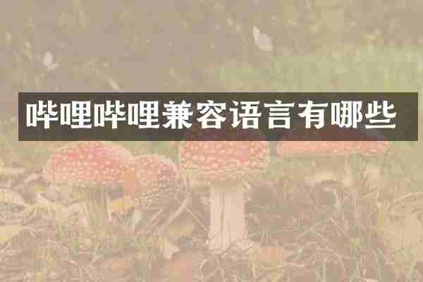 哔哩哔哩兼容语言有哪些