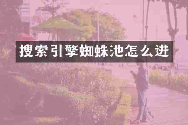 搜索引擎蜘蛛池怎么进