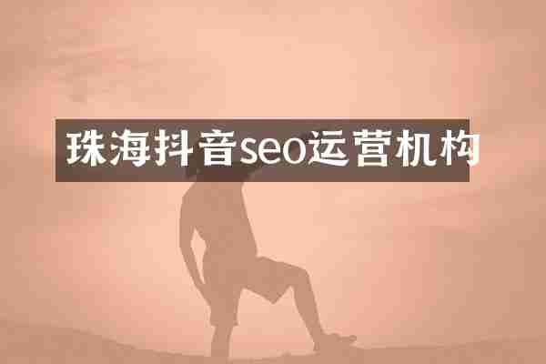 珠海抖音seo运营机构